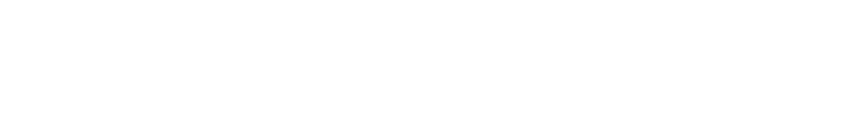 INVICTUS Lead Generation